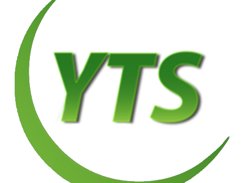OUR GUIDE TO DOWNLOADING ON YTS