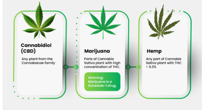 Guide to Medical Marijuana Packaging Regulations
