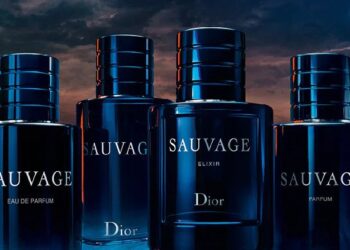 Dior Sauvage Dossier.co Review: Is Dossier Legit?