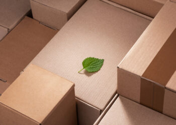 6 Ways to Use Eco-Friendly Shipping Options